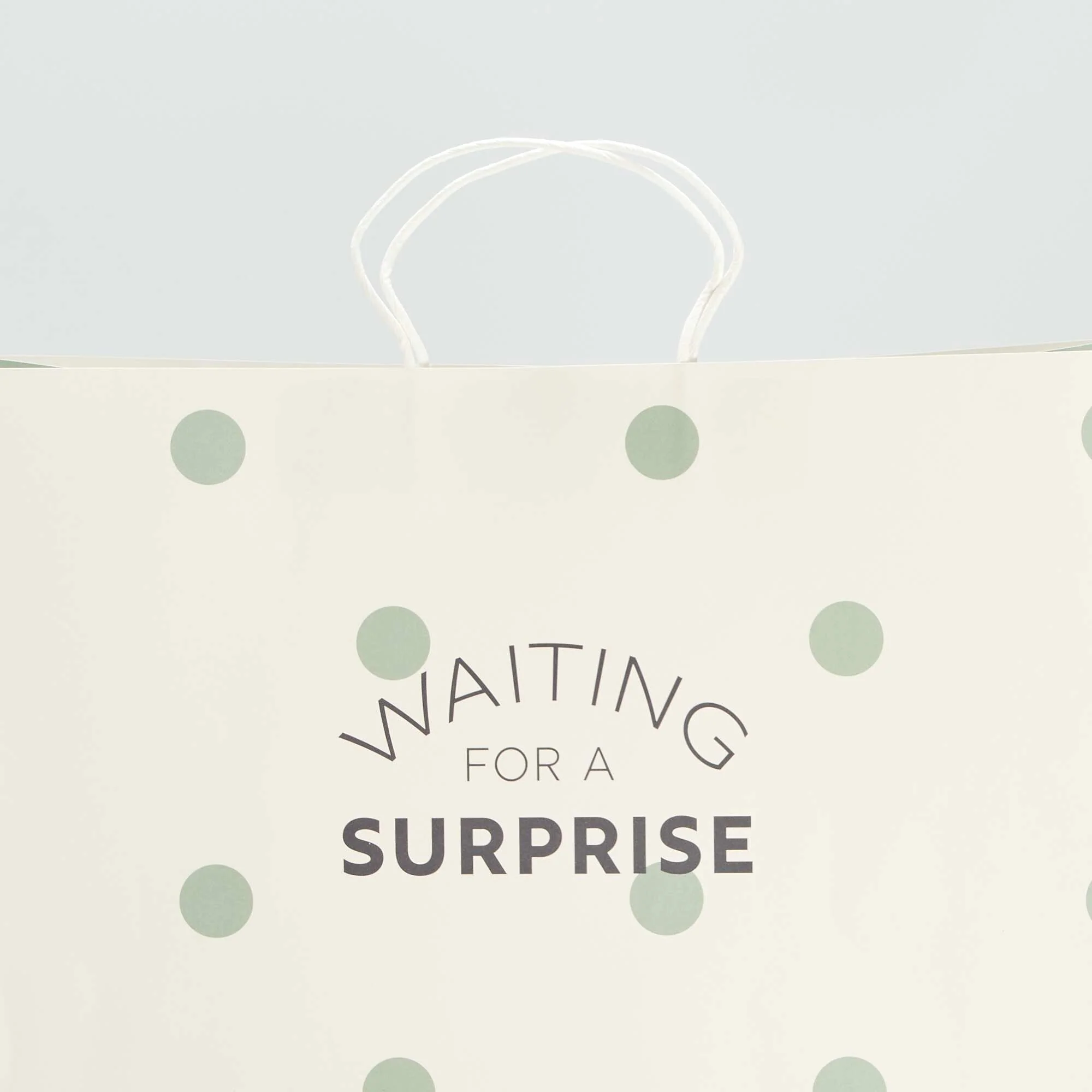 Gift bag GREEN - Image 3