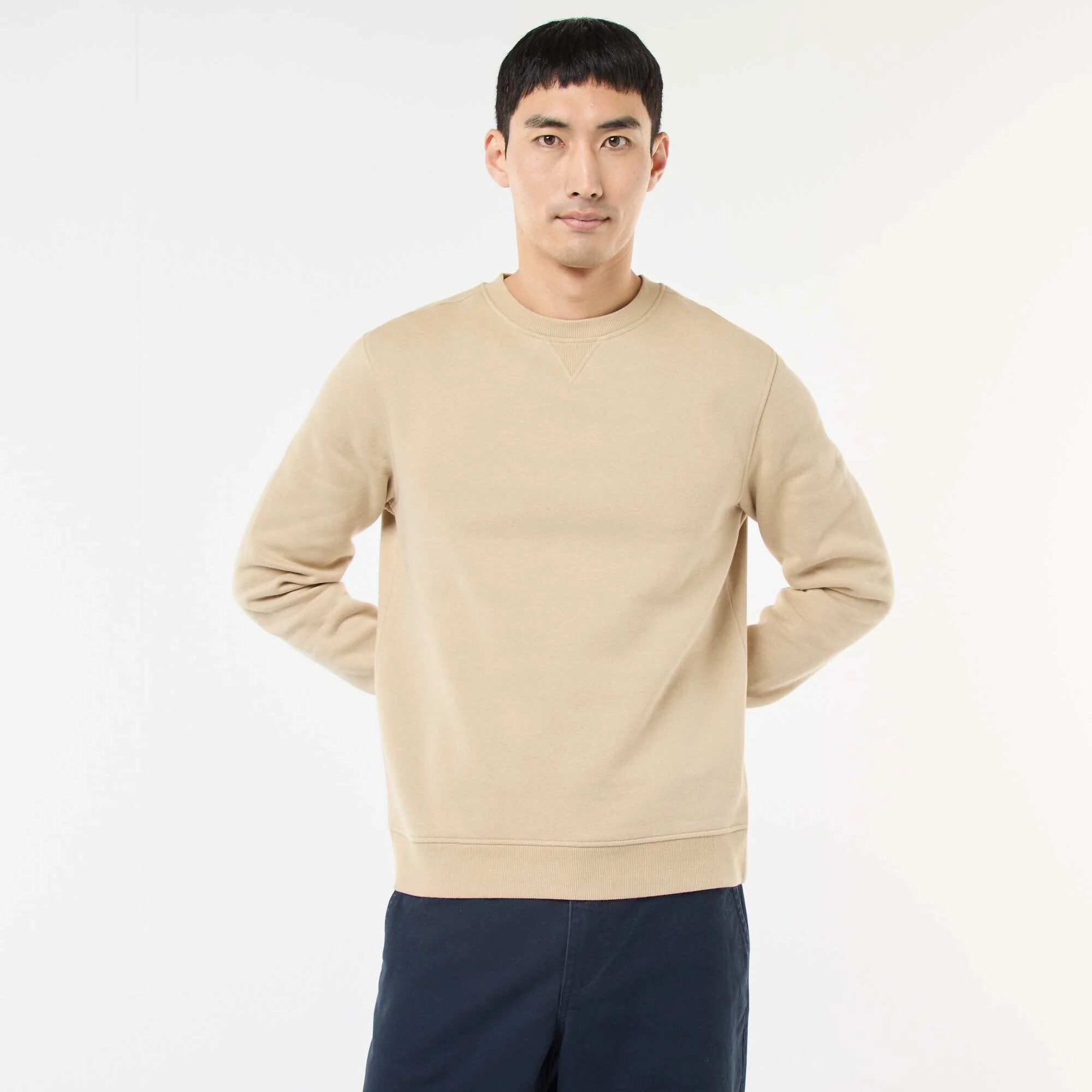 Plain Crew Neck Sweatshirt in Brushed Fleece BEIGE - Image 4