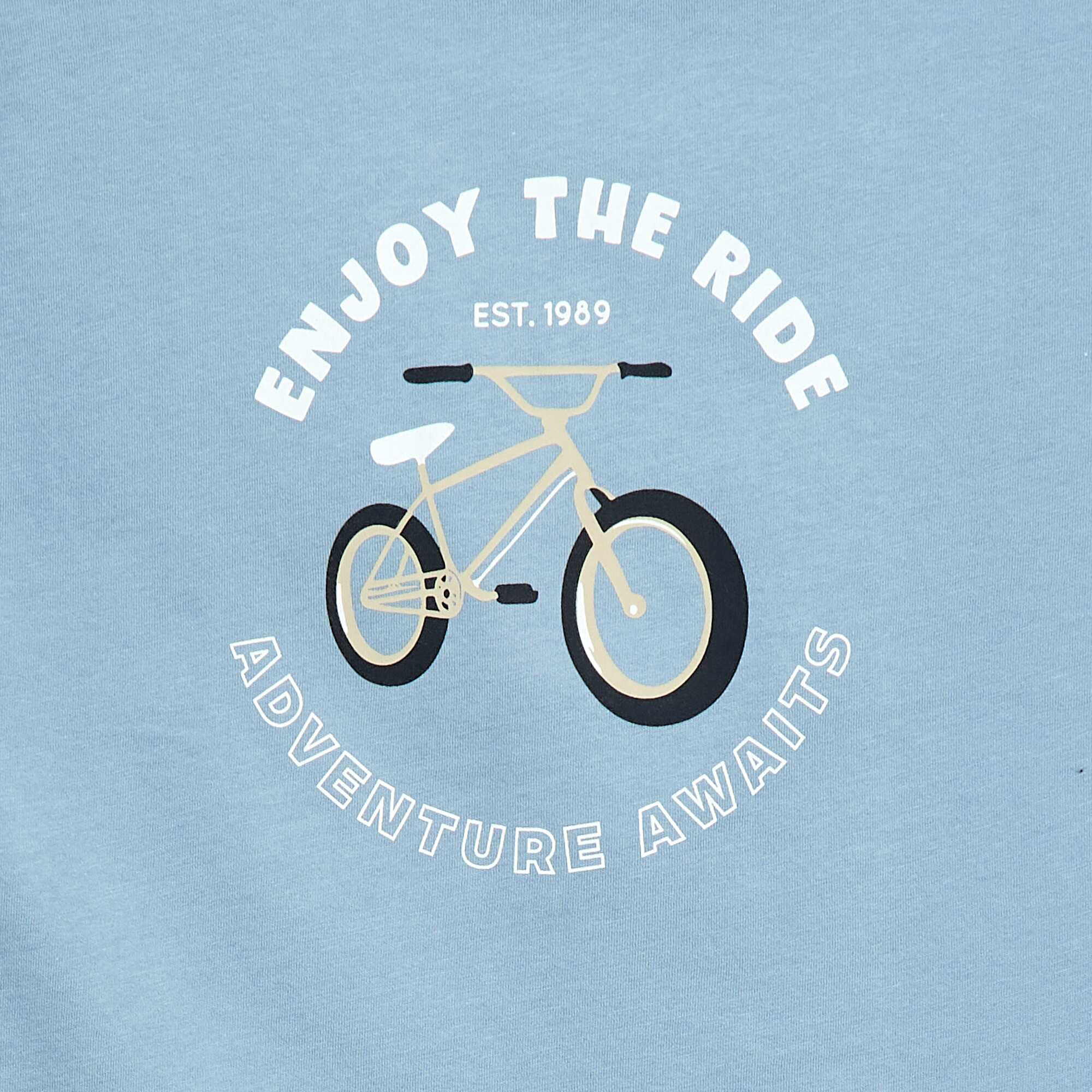 Printed Short-Sleeve T-shirt BLUE - Image 2