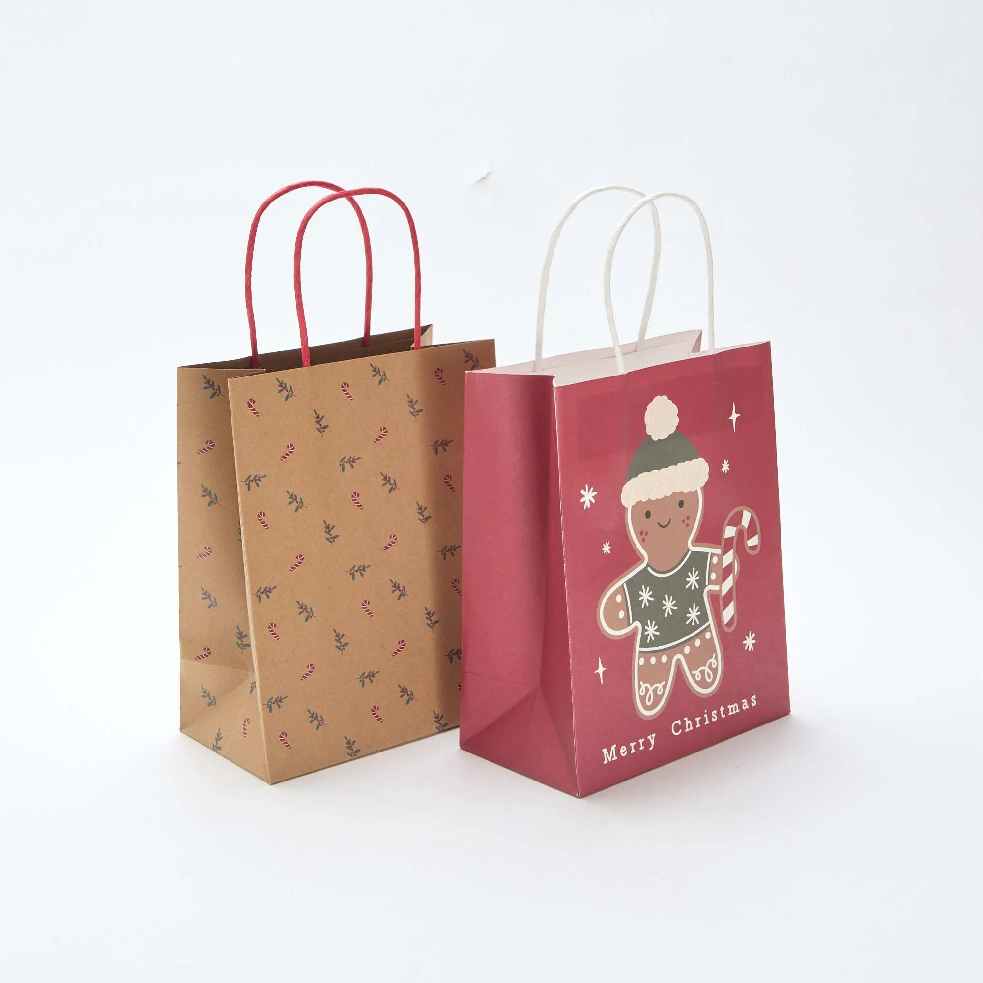 Set of 2 Paper Gift Bags RED